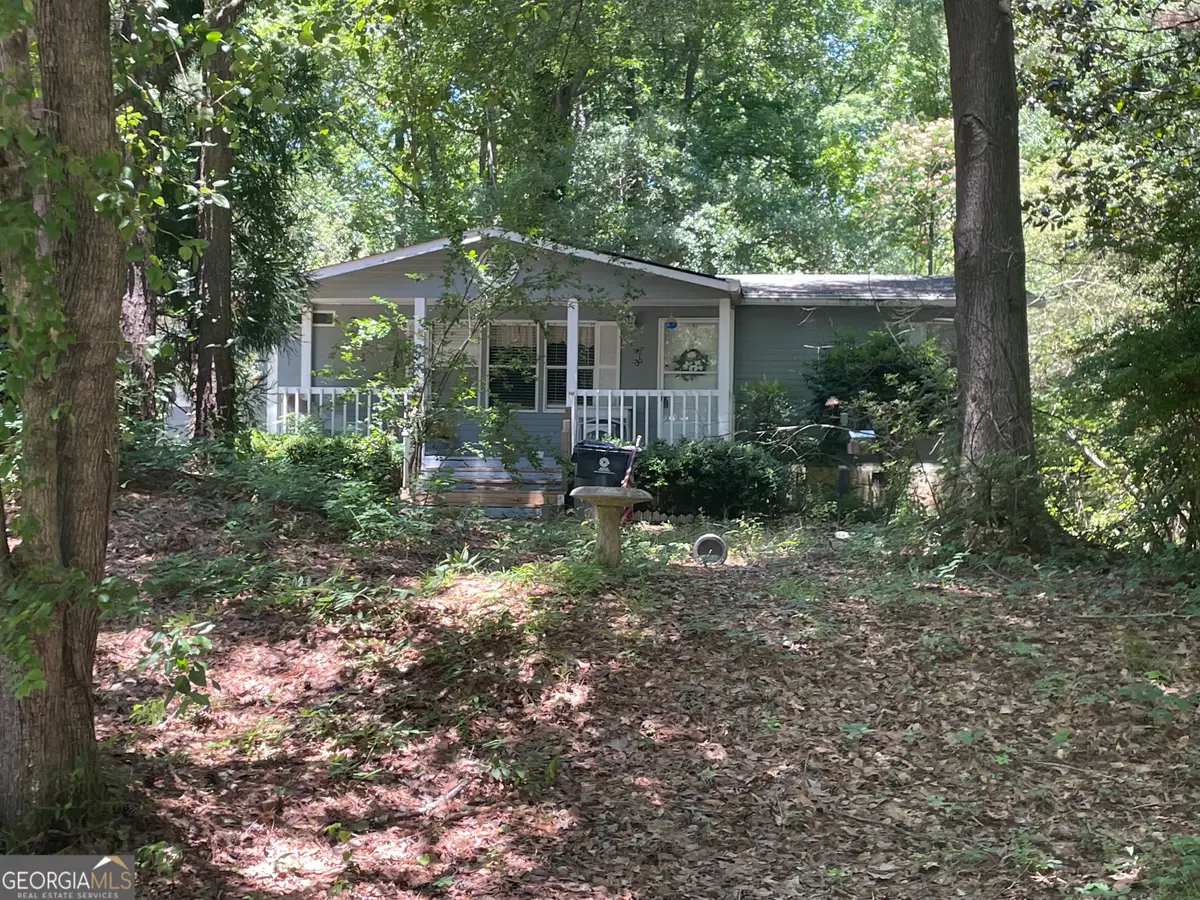 19 Peachtree Lake Drive, Sharpsburg, GA 30277 - #1