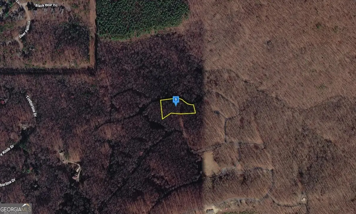 575 Sunburst Ridge Road, Young Harris, GA 30582 - #1