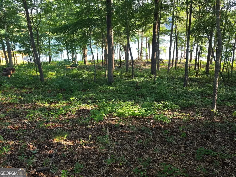 LOT 1 Pointe Sidney Drive, Hartwell, GA 30643 - #2