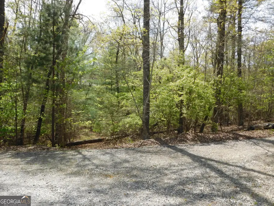 0 Dallas Lane, Blue Ridge, GA 30513 - #3