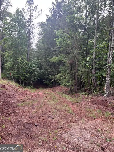 0 Dobbs Mountain Road, Winston, GA 30187