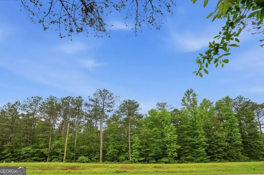 2919 Highway, Covington, GA 30016 - #3