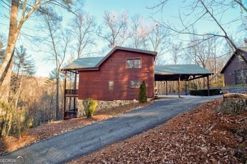 138 Lucius Lane, Cherry Log, GA 30522 - #1