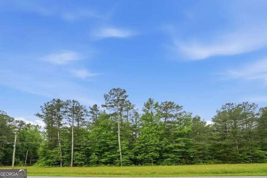 2907 Highway, Covington, GA 30016 - #2
