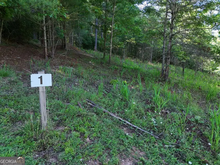 LOT 1 Big Knoll Drive #1, Blairsville, GA 30512 - #3