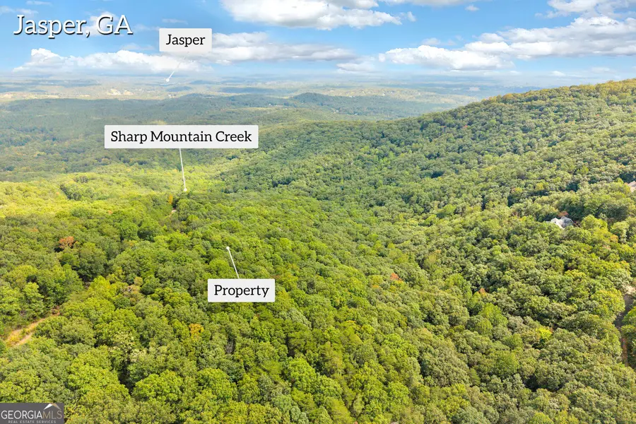 98 Sharp Mountain Parkway, Jasper, GA 30143 - #3