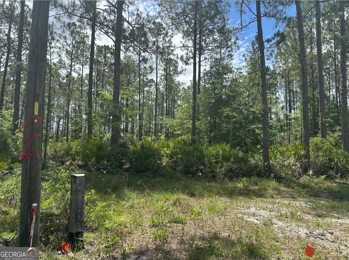 57 Lakeview Drive, Folkston, GA 31537 - #1