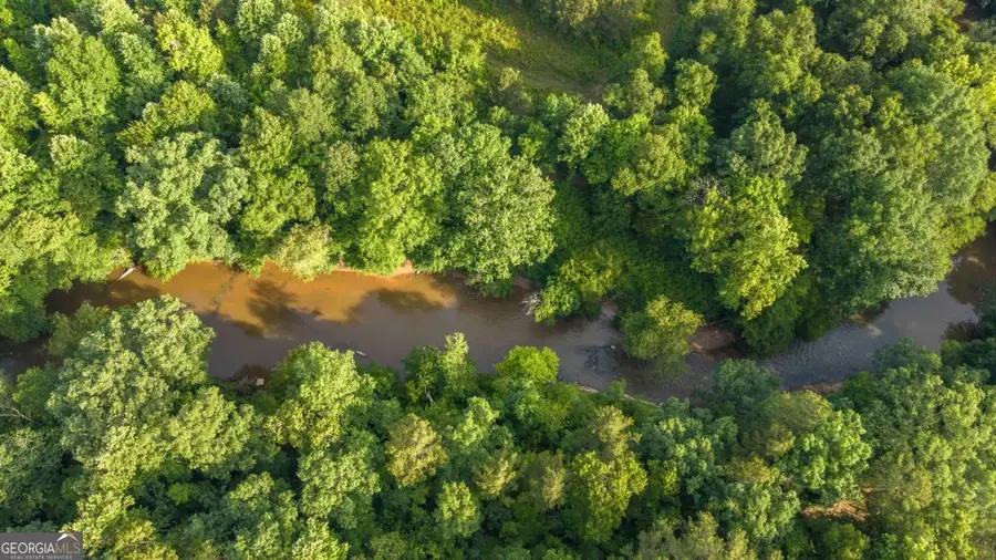 435 Steadman Lane, Tallapoosa, GA 30176 - #2