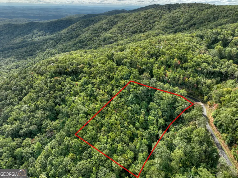 LOT 25 Utana Bluffs Trail, Ellijay, GA 30540 - #2