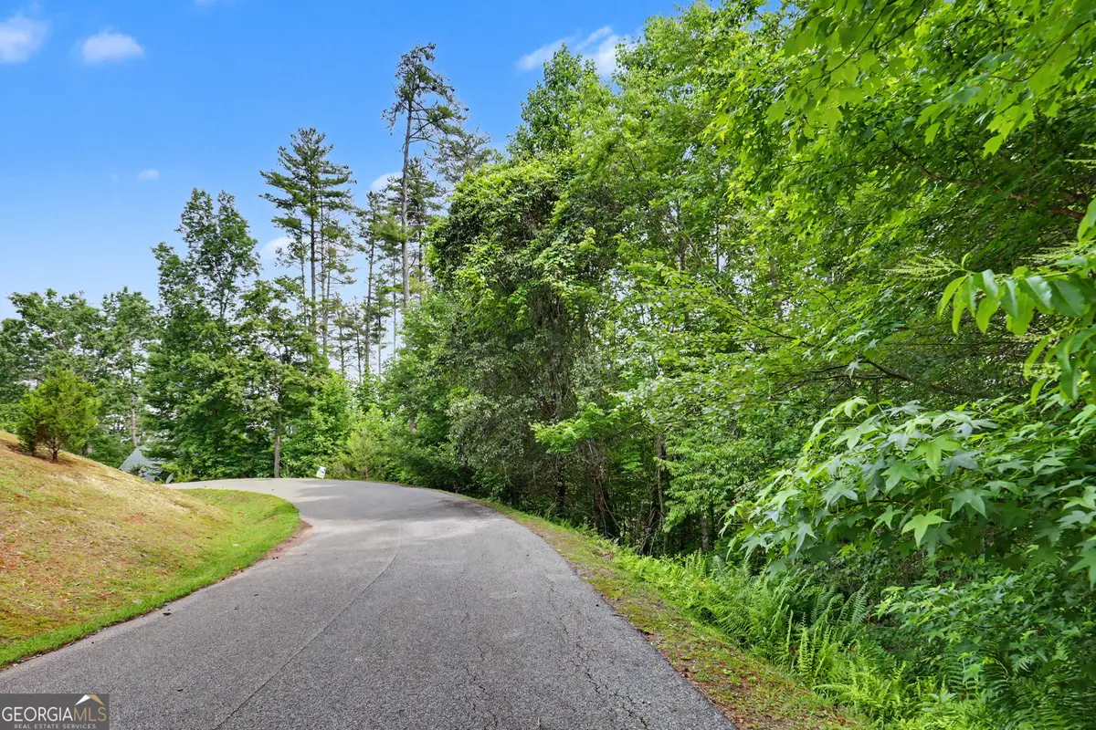 56 Walker Ridge Way, Mineral Bluff, GA 30559 - #1