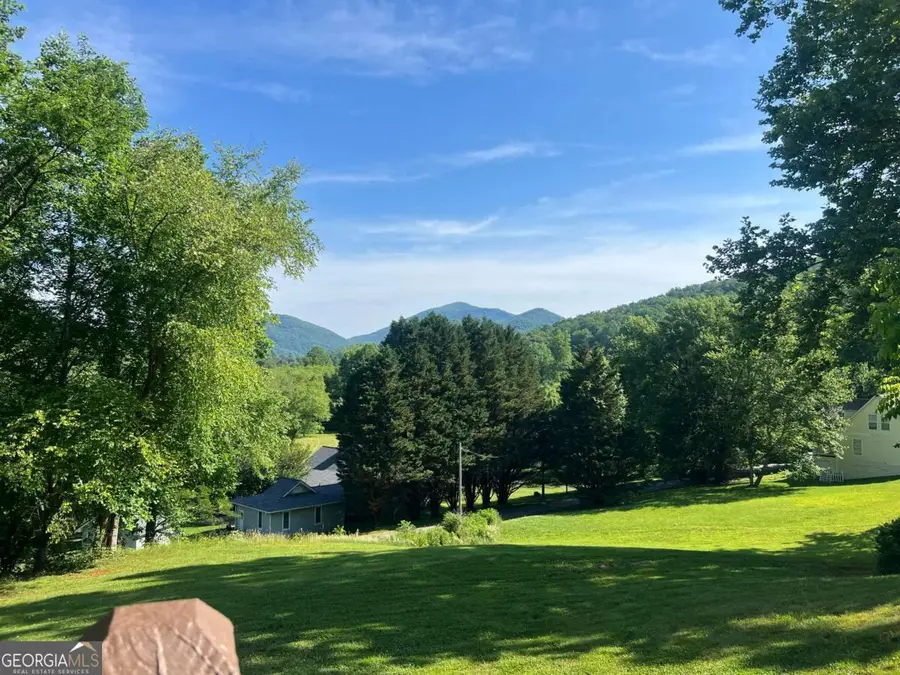 2502 Kelley Lane, Hiawassee, GA 30546 - #3