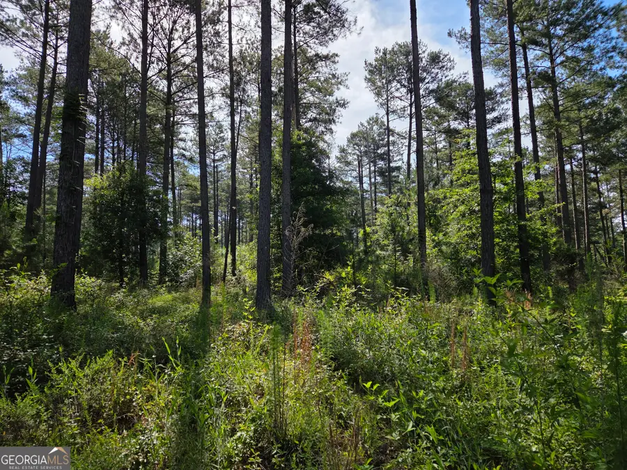 0 PERKINS ROAD Perkins Road, Barnesville, GA 30204 - #2