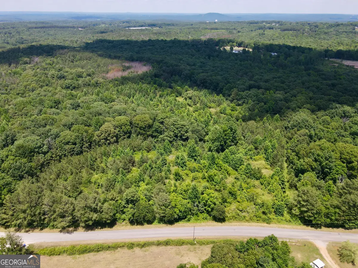 451 Two Rock Road, Waco, GA 30182 - #1