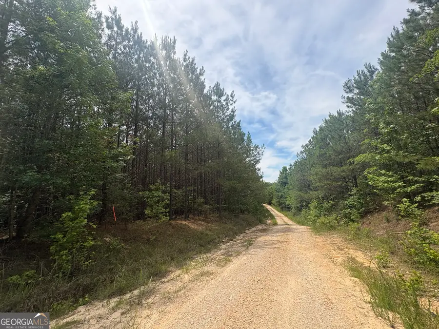 4 Callaway Road, Tignall, GA 30668 - #3