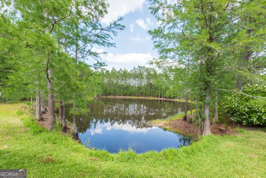 2559 Tabby Road, Mershon, GA 31551 - #3