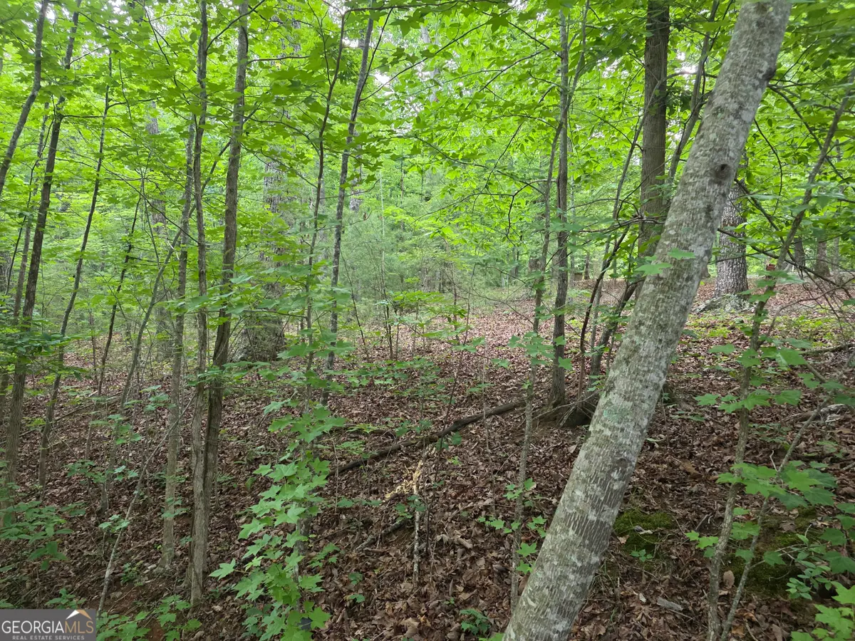 2 LOTS Oak Forest, Clarkesville, GA 30523 - #1