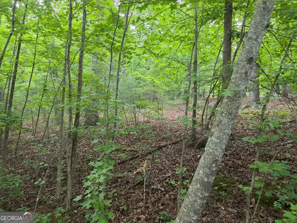 2 LOTS Oak Forest, Clarkesville, GA 30523
