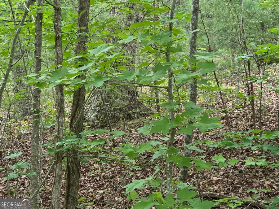 2 LOTS Oak Forest, Clarkesville, GA 30523 - #2