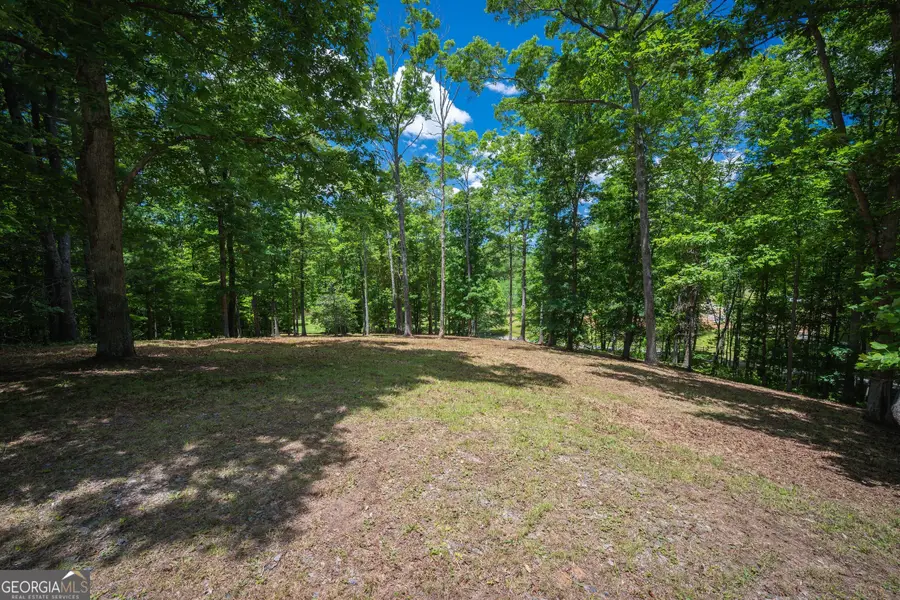 1.57AC Faith Hill Road, McCaysville, GA 30555 - #2