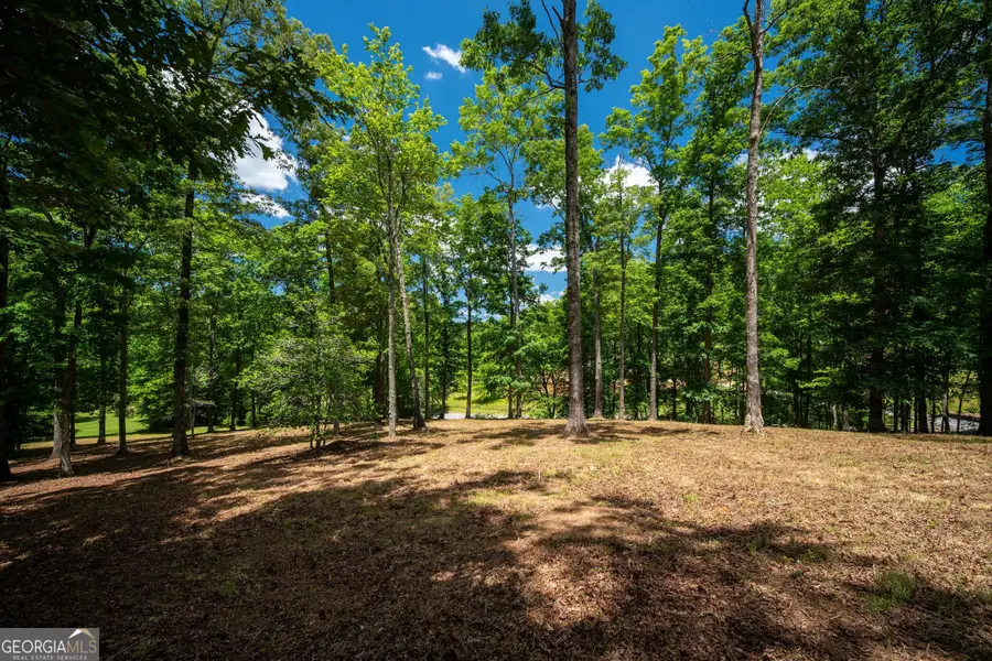 1.57AC Faith Hill Road, McCaysville, GA 30555 - #3