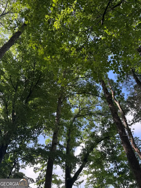0 Po Biddy Road, Thomaston, GA 30286