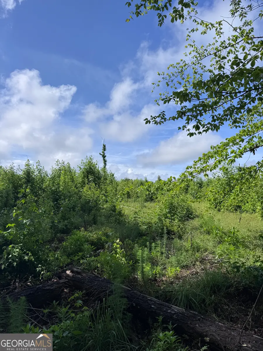 0 Po Biddy Road, Thomaston, GA 30286 - #3