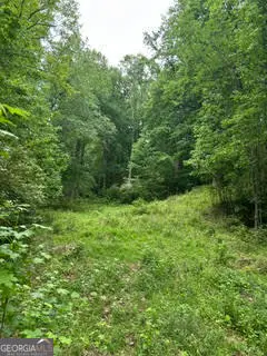 0 Log Cabin Rd Road, Cumming, GA 30028 - #2