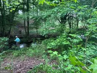 0 Log Cabin Rd Road, Cumming, GA 30028 - #3