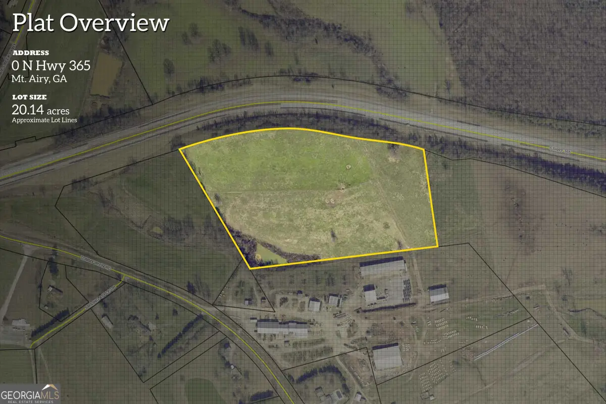 20 ACRES Sthighway 365, Mount Airy, GA 30563 - #1