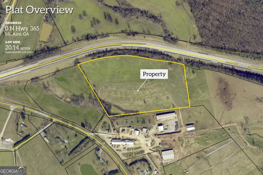 20 ACRES Sthighway 365, Mount Airy, GA 30563 - #2
