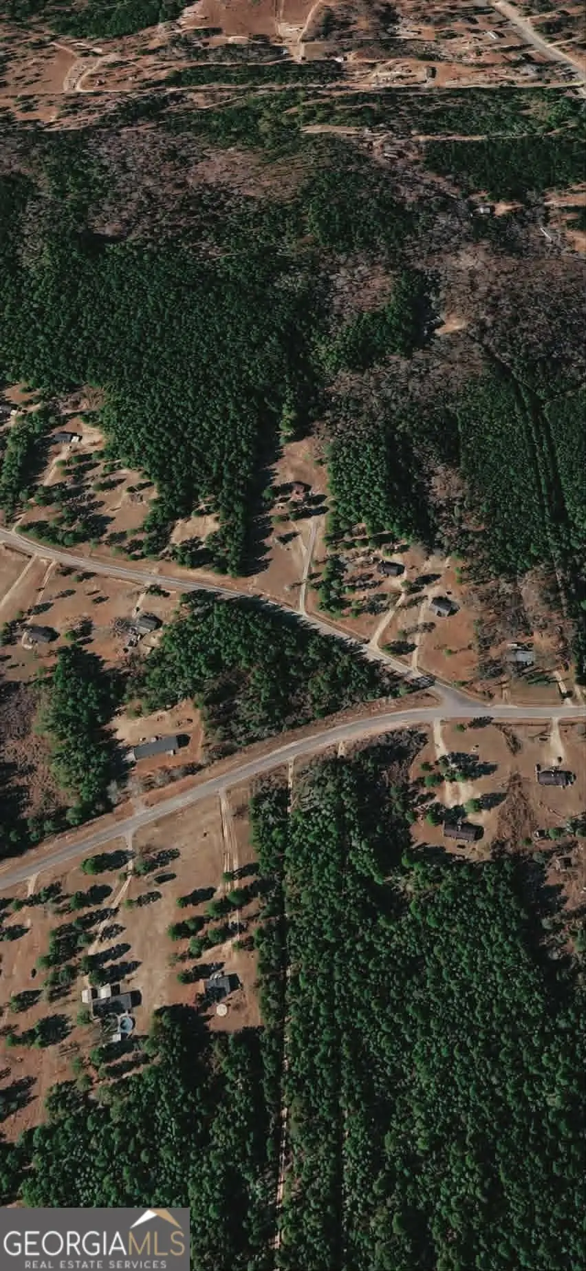 LOT 48 Pope Road, Roberta, GA 31078 - #2