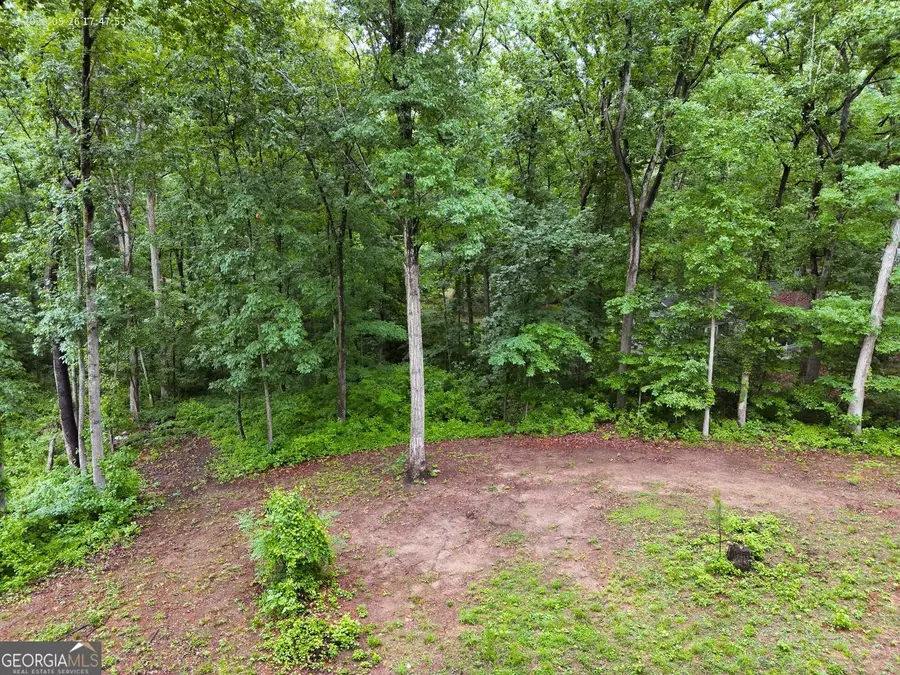 0 Guthrie Place, Stockbridge, GA 30281 - #3