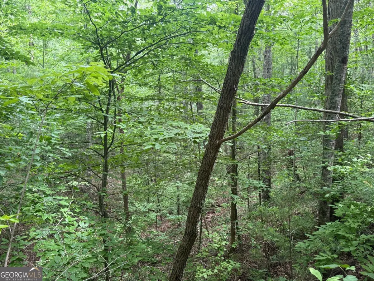 1 AC Spiva Cove Circle, Blairsville, GA 30512 - #1