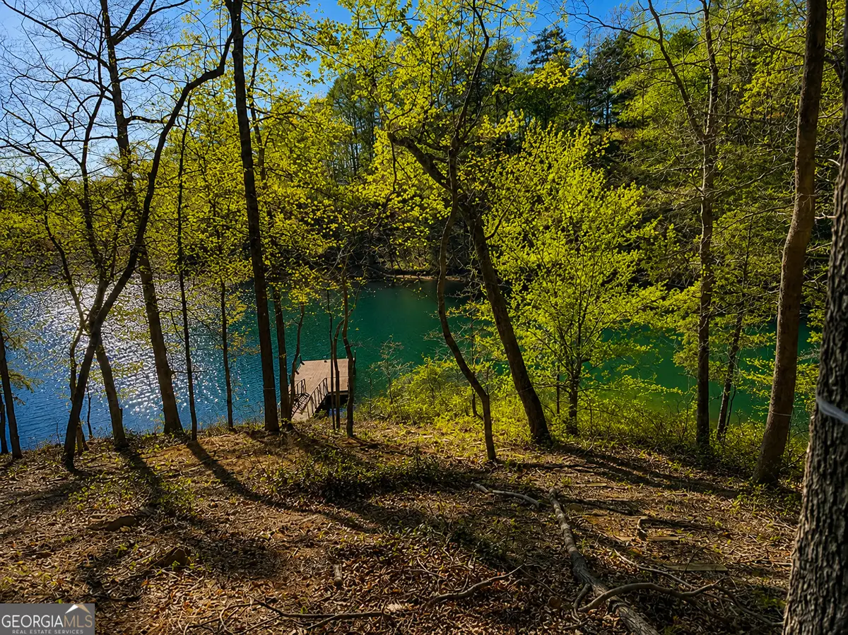 418 Sue Craig Road, Six Mile, SC 29682 - #1