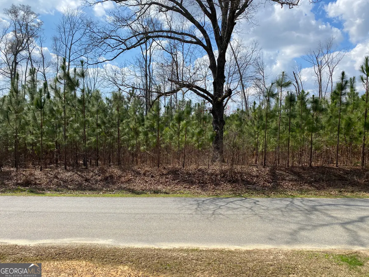 0 PARCEL 3 Baker Road, Waverly Hall, GA 31831 - #1