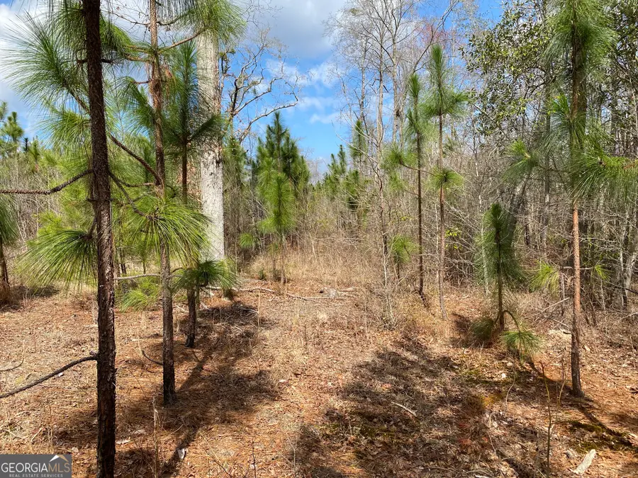 0 PARCEL 3 Baker Road, Waverly Hall, GA 31831 - #2