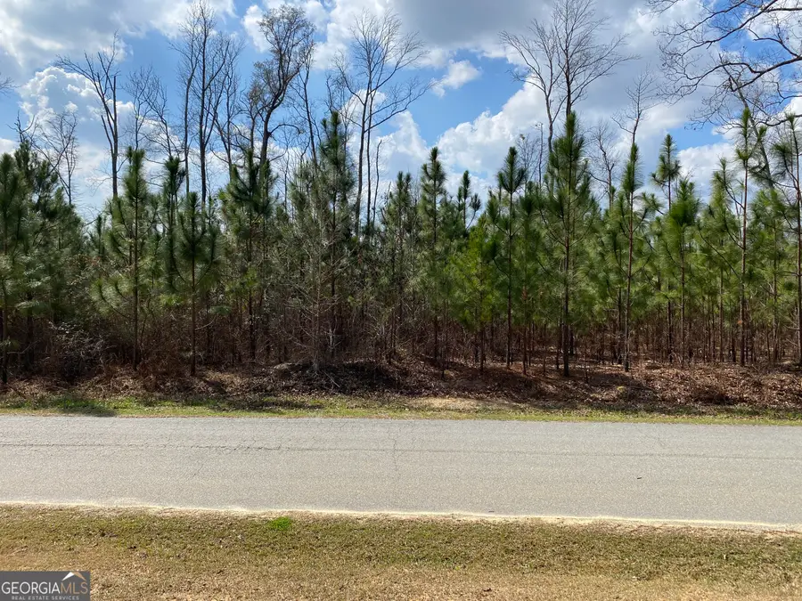 0 PARCEL 3 Baker Road, Waverly Hall, GA 31831 - #3