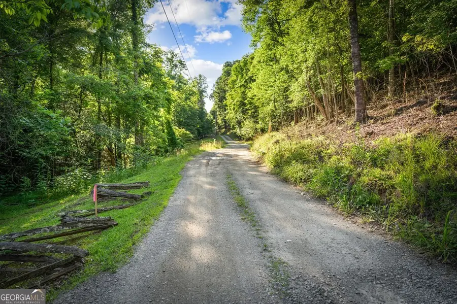 2.48 ACR Valley Lane, Mineral Bluff, GA 30559 - #3