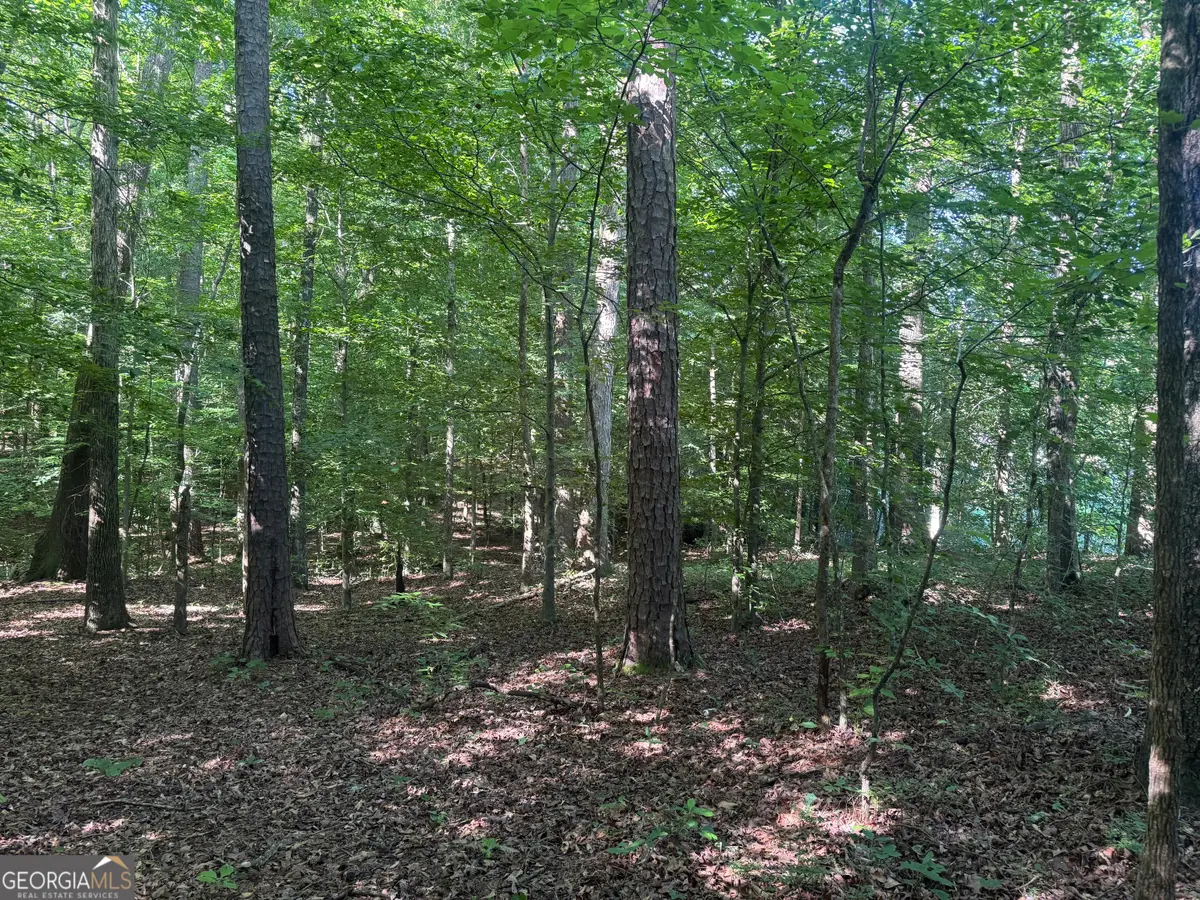 435 N 27 Highway, Roopville, GA 30170 - #1