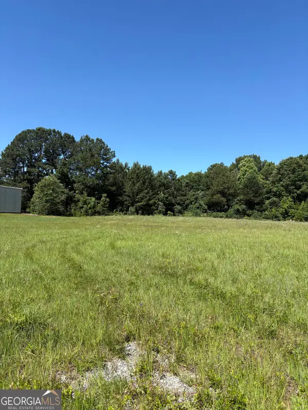 3.31 M Friedman Drive, Sandersville, GA 31082