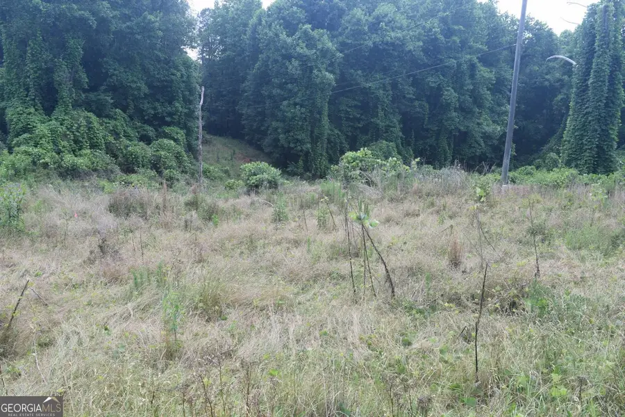 792 Lower Dowda Mill Road, Jasper, GA 30143 - #2