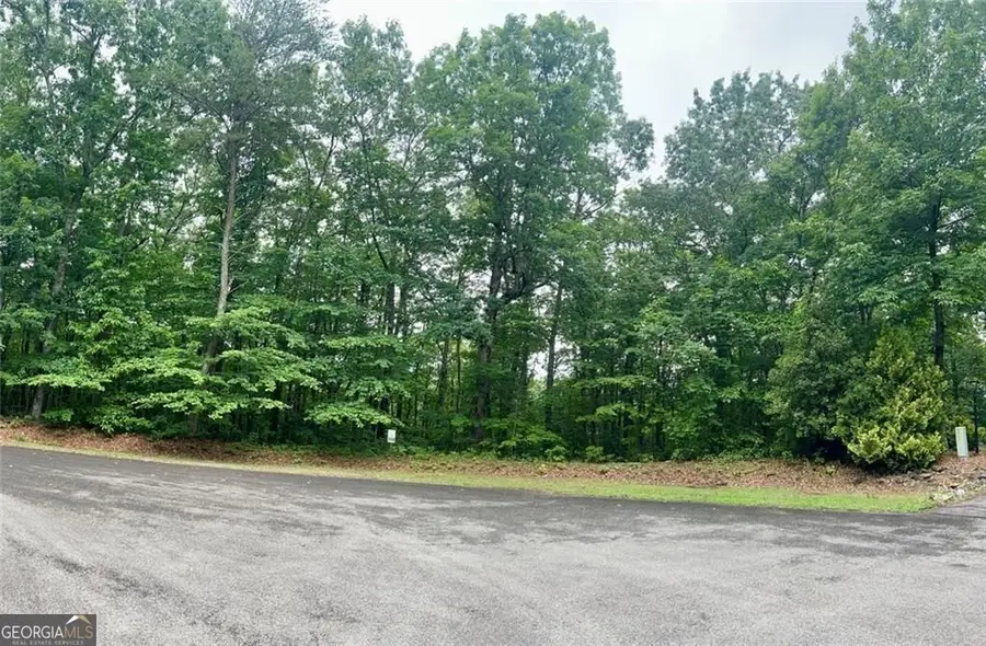 0 Highpointe Trail #194, Ellijay, GA 30536 - #3