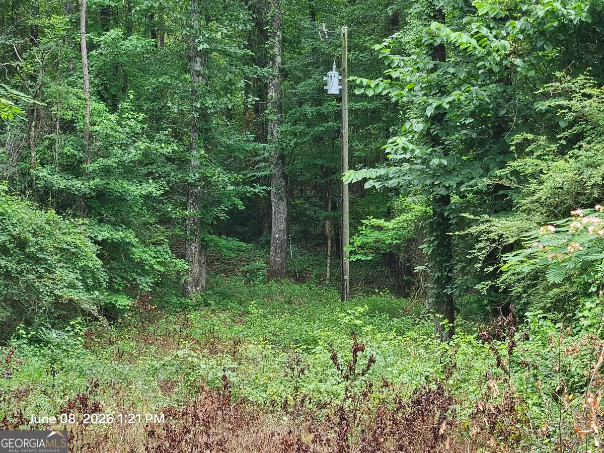 0 Davis Road, Macon, GA 31217 - #1