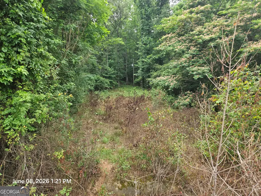 0 Davis Road, Macon, GA 31217 - #2