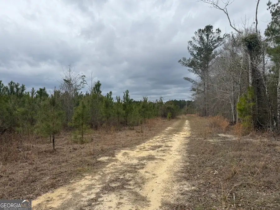 35 Graham Lane, Cadwell, GA 31009 - #3