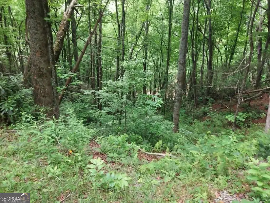 0 LOT 37 Saddleback Circle, Sky Valley, GA 30537 - #2
