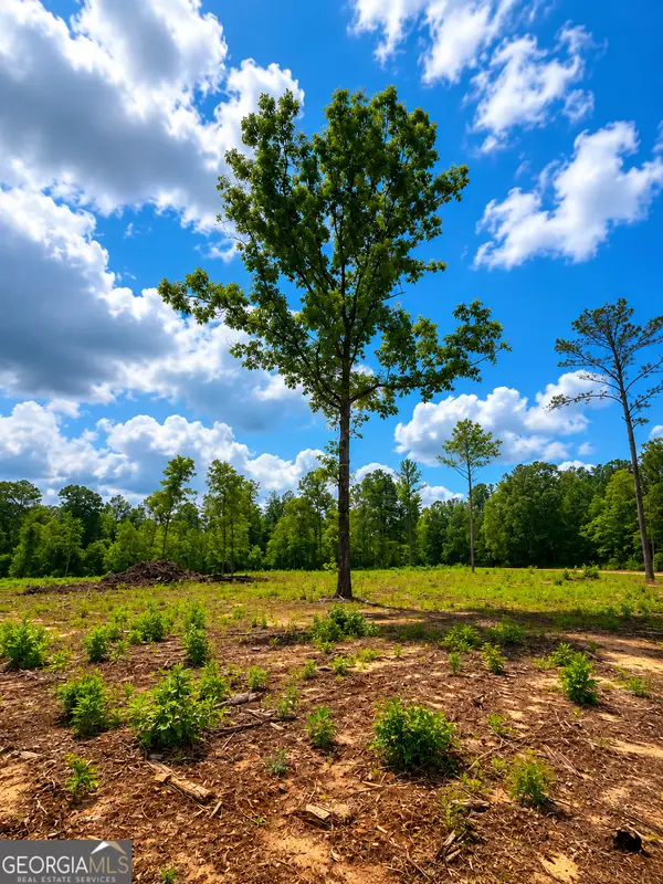 0 White Road #1, Pine Mountain, GA 31822