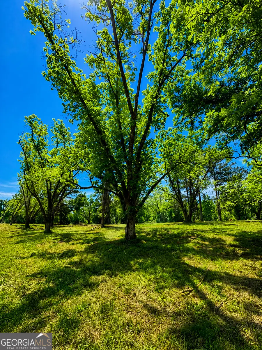 0 Salem Road #2, Pine Mountain, GA 31822 - #2