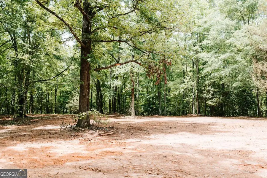 2605 Union Point Road, Union Point, GA 30669 - #2