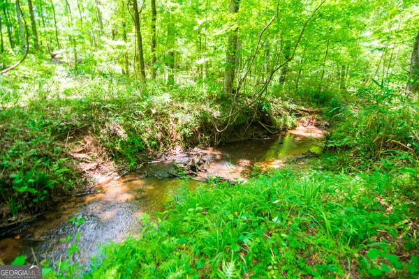 0 White Road, Pine Mountain, GA 31822